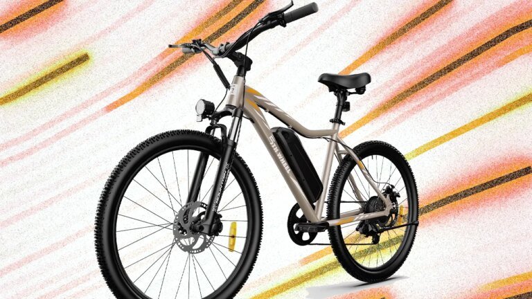 速賣通上以低於 220 美元的價格購買 36V 500W 成人電動自行車