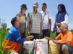 Pupuk Kaltim 確保加強加強糧食安全和中小企業發展的舉措