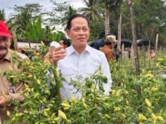 食品部副部長鼓勵 HSS 胡椒中心維持南加里曼丹的通貨膨脹