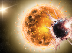 其中一顆雙星可能正在吞噬系外行星