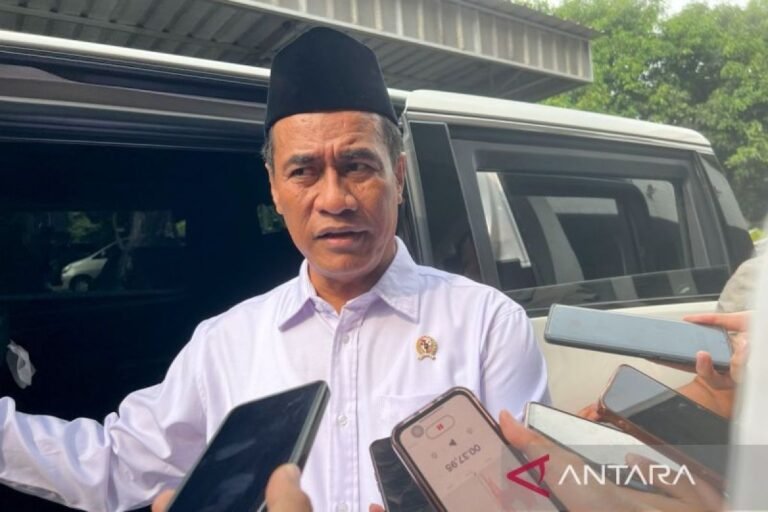 Bapanas 負責人確保 RI 的米庫存在明年 5 月之前都是安全的