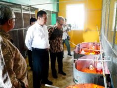 BAPANAS 負責人監控農民層面的肉雞價格穩定性