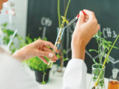 AI 研究警告全球近 30,000 種植物面臨滅絕風險
