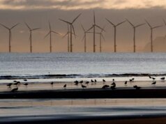 英國政府目標到 2042 年碳排放量減少 87%