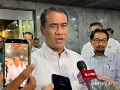 農業部長阿姆蘭表示,農民手中的棕櫚果串價格正逐漸穩定。
