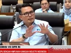 智慧財產權:工業部門法案應解決監管重疊問題