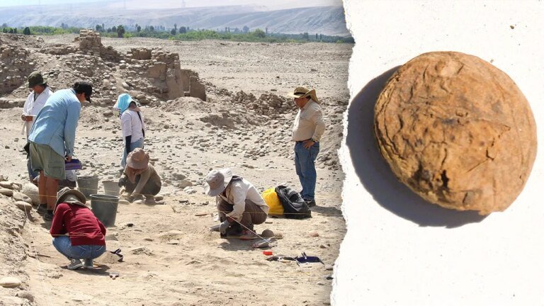 秘魯考古學家發現了 500 年歷史的凍乾印加馬鈴薯。
