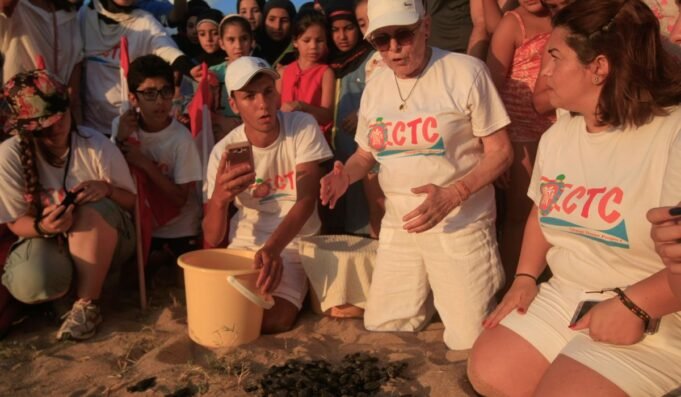 Lebanon_Sea_Turtle_Activst_Killed_44726_c0-250-6000-3750_s1200x700.jpg