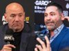 奧斯卡·德拉·霍亞 (Oscar De La Hoya) 就瑞安·加西亞 (Ryan Garcia) 事件向達納·懷特 (Dana White) 的祖法拳擊 (Zuffa Boxing) 發出停止信