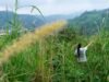 Madre Tierra:拉丁美洲的土著環境捍衛者為自己的土地而戰