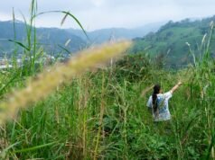 Madre Tierra:拉丁美洲的土著環境捍衛者為自己的土地而戰
