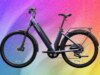 Segway Myon 電動自行車評論:太聰明了?