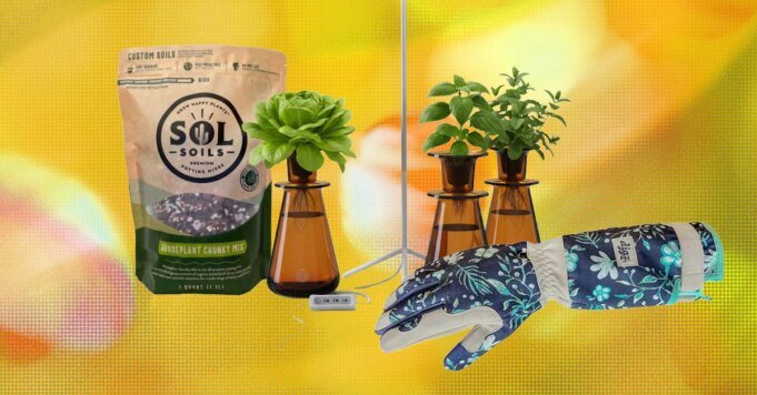 The-15-Best-Gifts-for-Plant-Lovers-and-Gardeners.jpg