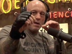 特雷弗威特曼 (Trevor Wittman) 透露,UFC 已經聯繫了可能使用他的手套設計的可能性;達納懷特 答案