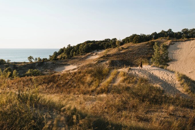 Warren-Dunes-Floral-Lane-55.jpg