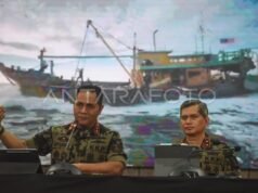 因走私事件曝光,KKP 釋放了 1,300 條拿破崙魚