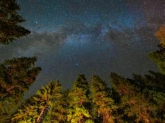 光污染可能會導緻美國暗夜公園損失數百萬美元的價值