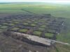 部署 400 名工人在東松巴島建造現代化蝦池