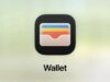Apple Wallet 的新數位 ID 功能在德克薩斯州更有用