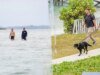 海岸防衛隊潛水員在巴哈馬海域尋找失蹤女子 Lynette Hooker。