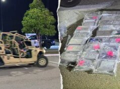 彭德爾頓營 (Camp Pendleton) 的搜捕行動在發現 112 磅毒品後逮捕了兩人。
