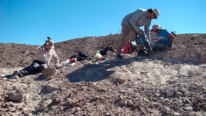 cientificos-conicet-trabajando-555549-144228.jpg