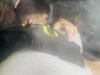 他們逮捕了阿戈斯蒂娜殺害女性的第二名嫌疑犯:他是巴雷留的朋友