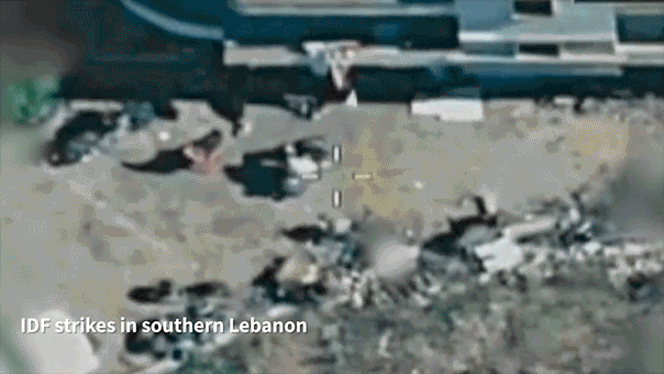 efrat-morgan-gif.gif