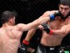與 UFC 16 場輕量級老將分道揚鑣