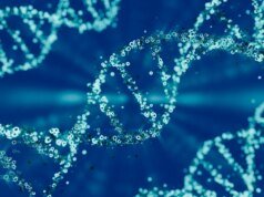 想在父親節送 DNA 測試禮物嗎?專家是這麼說的,要三思而後行