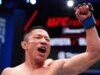 UFC Vegas 119 預測 |綜合格鬥