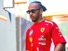 F1 車手劉易斯漢密爾頓透露,他在一次測試事故中頸部嚴重受傷。