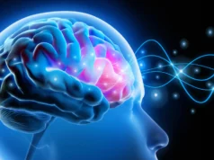 科學家透過修復大腦中的小電路來扭轉焦慮