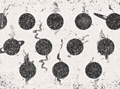 科學家說,大多數係外行星可能是“煙灰工廠”:“如果你有一台天然柴油引擎”