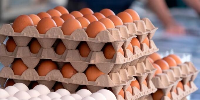 huevos-555064-094648.jpg