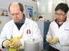國際原子能總署進入伊朗核設施是川普協議的關鍵考驗。