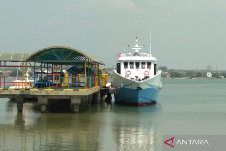 飛往 Karimunjawa Jepara 的航班乘客人數增加