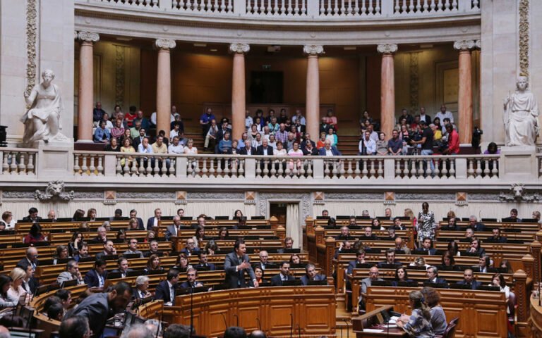 議會批准政府在十天內討論單一社會津貼的請求