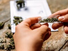 隨著黑市持續成長,Legal Pot 承諾火爆