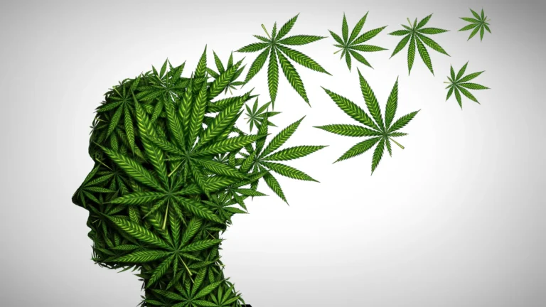 一項大型研究顯示青少年吸食大麻會使嚴重精神疾病的風險加倍