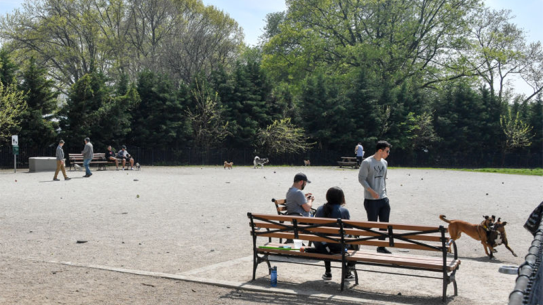 紐約警察局在布魯克林公園刺傷兩刀後，一男子死亡，另一人情況危急
