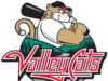 Valleycats 對魁北克隊