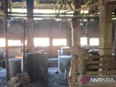 Kopati Cianjur 指出大豆的生長受到更多控制