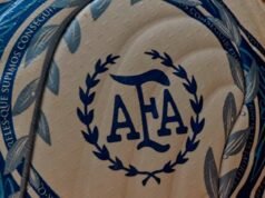 這是“Argentum Gambeta”,新的阿根廷足球