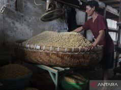 塞利奧斯:加強大豆儲備減少進口依賴很重要