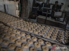 關於降低小額信貸利率,OJK要求擔保保持謹慎