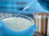 科學家發現大米的一種奇怪特性並將其轉化為智慧材料