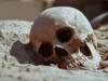 古代DNA揭示鼠疫在5500年前就已經殺死了人類