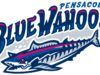 Blue Wahoos 宣佈在美國成立 250 週年之際與 51 個自由步驟建立全國合作夥伴關係
