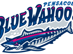 Blue Wahoos 宣佈在美國成立 250 週年之際與 51 個自由步驟建立全國合作夥伴關係